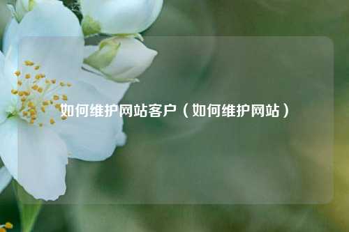 如何维护网站客户（如何维护网站）