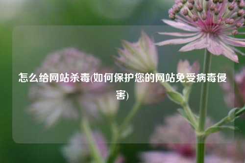 怎么给网站杀毒(如何保护您的网站免受病毒侵害)
