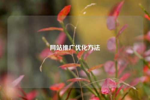 网站推广优化方法