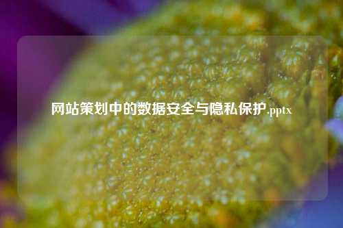 网站策划中的数据安全与隐私保护.pptx