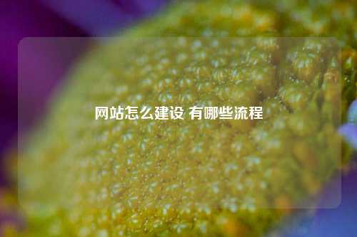网站怎么建设 有哪些流程