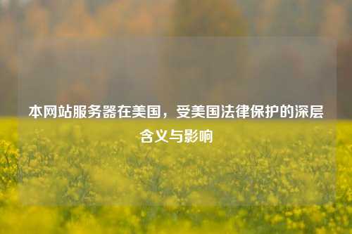 本网站服务器在美国，受美国法律保护的深层含义与影响
