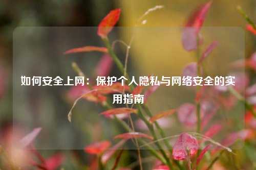 如何安全上网：保护个人隐私与网络安全的实用指南