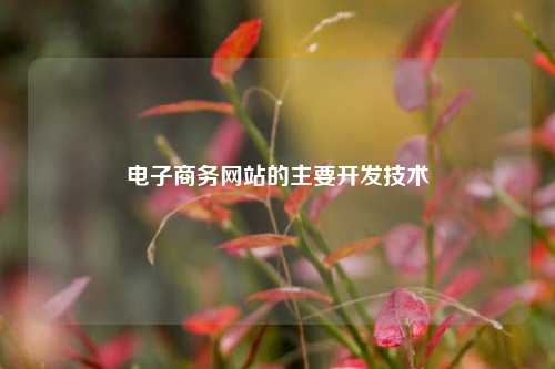 电子商务网站的主要开发技术