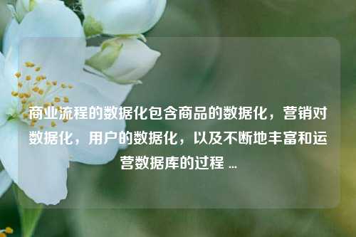 商业流程的数据化包含商品的数据化，营销对数据化，用户的数据化，以及不断地丰富和运营数据库的过程 ...