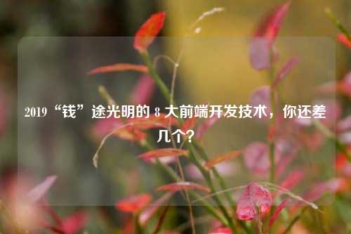 2019“钱”途光明的 8 大前端开发技术，你还差几个？