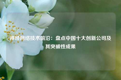 神经网络技术前沿：盘点中国十大创新公司及其突破性成果