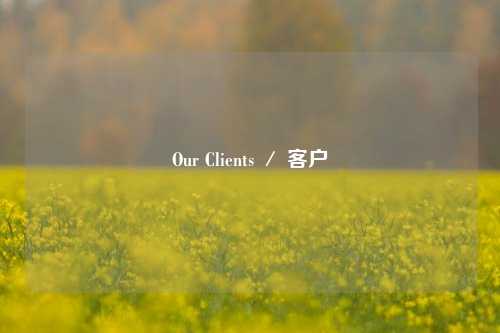 Our Clients ／ 客户