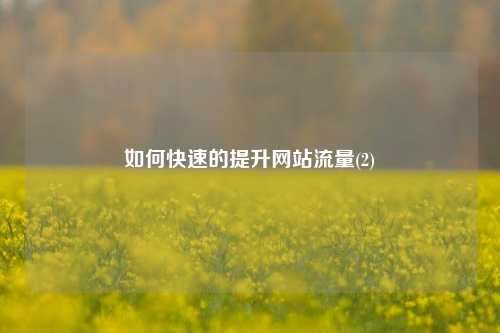 如何快速的提升网站流量(2)