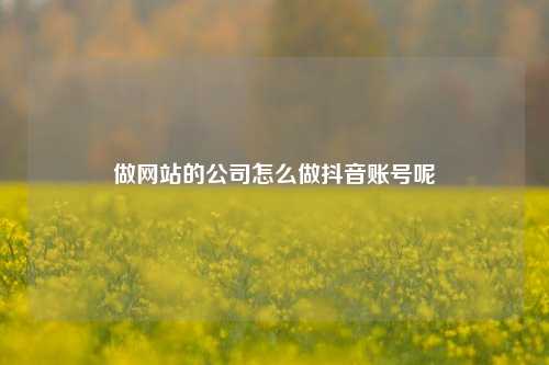 做网站的公司怎么做抖音账号呢
