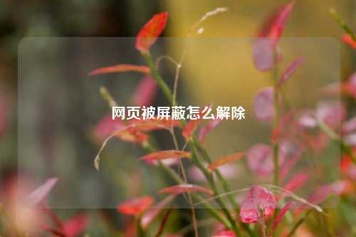 网页被屏蔽怎么解除