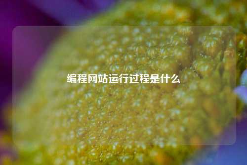 编程网站运行过程是什么