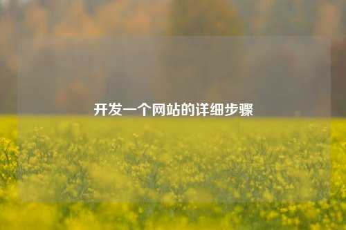 开发一个网站的详细步骤
