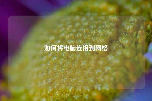 如何将电脑连接到网络