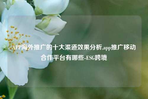 APP海外推广的十大渠道效果分析,app推广移动合作平台有哪些-ESG跨境