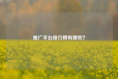 推广平台排行榜有哪些？