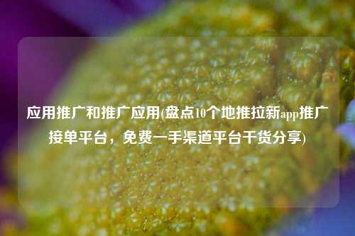 应用推广和推广应用(盘点10个地推拉新app推广接单平台，免费一手渠道平台干货分享)