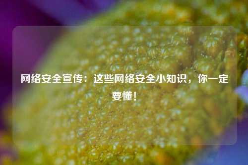 网络安全宣传：这些网络安全小知识，你一定要懂！