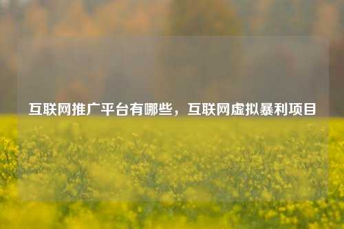 互联网推广平台有哪些，互联网虚拟暴利项目