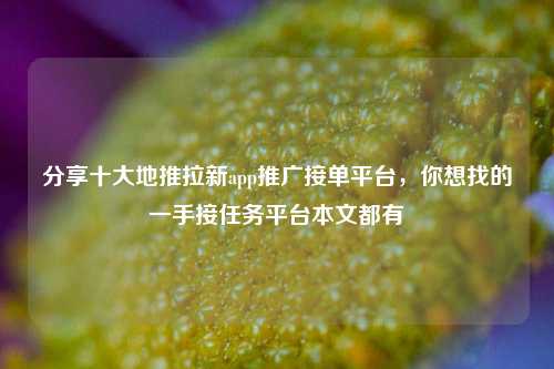 分享十大地推拉新app推广接单平台，你想找的一手接任务平台本文都有