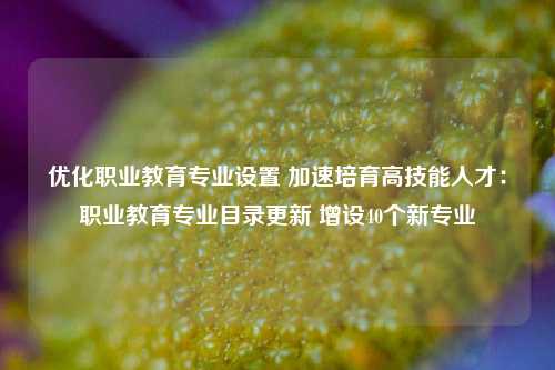 优化职业教育专业设置 加速培育高技能人才：职业教育专业目录更新 增设40个新专业