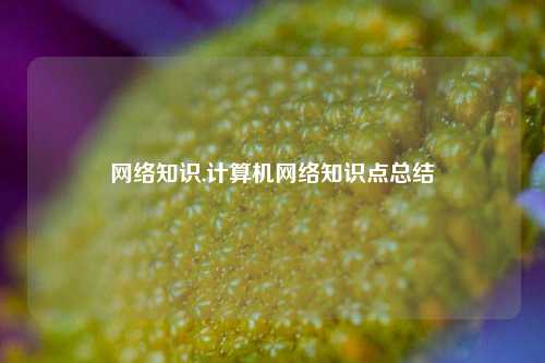 网络知识,计算机网络知识点总结
