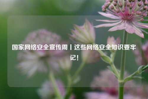 国家网络安全宣传周丨这些网络安全知识要牢记！