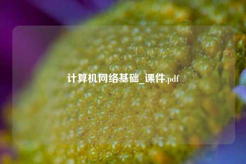 计算机网络基础_课件.pdf