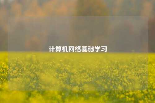 计算机网络基础学习