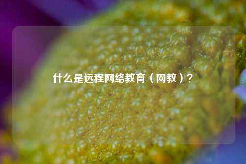 什么是远程网络教育（网教）？