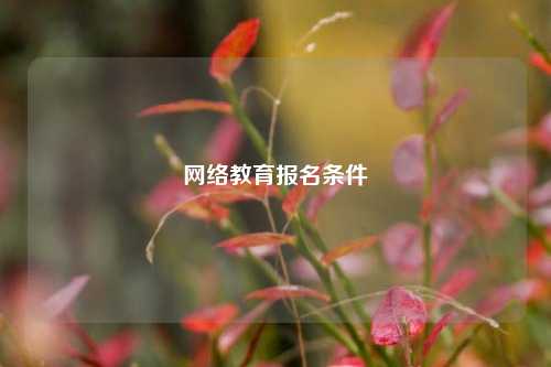 网络教育报名条件