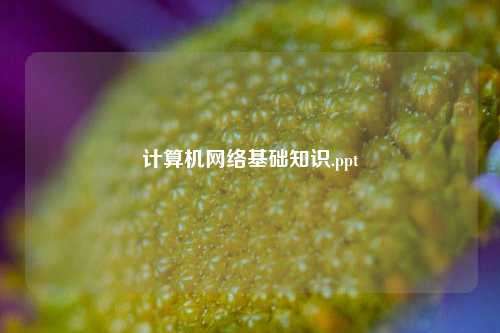 计算机网络基础知识.ppt