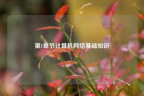 第1章节计算机网络基础知识