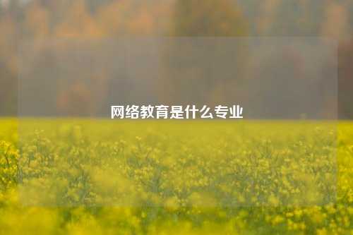 网络教育是什么专业