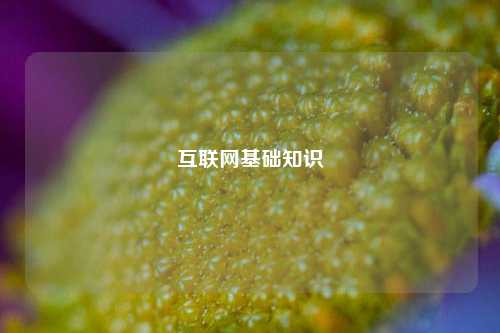 互联网基础知识