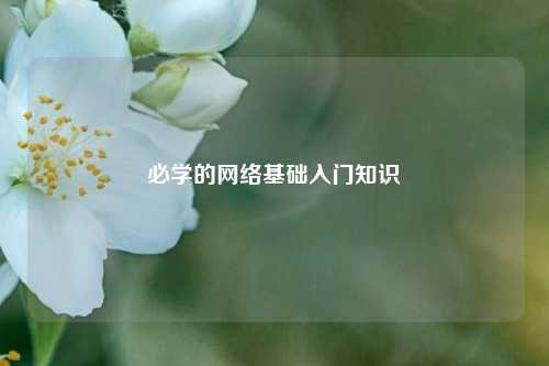 必学的网络基础入门知识