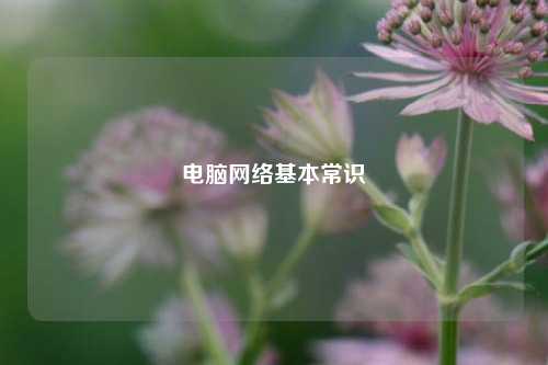 电脑网络基本常识