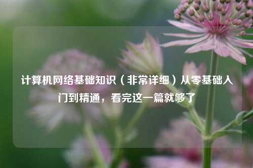 计算机网络基础知识（非常详细）从零基础入门到精通，看完这一篇就够了