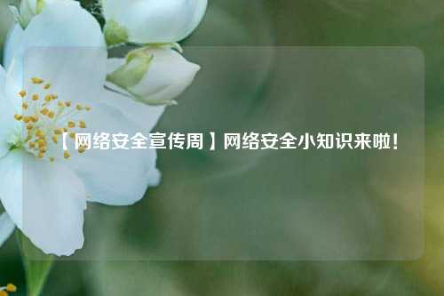 【网络安全宣传周】网络安全小知识来啦！