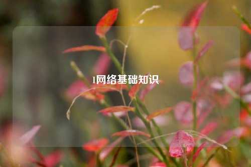 1网络基础知识