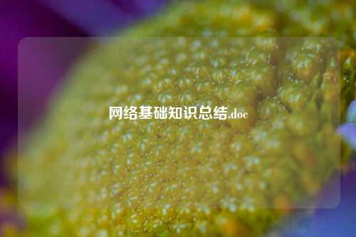 网络基础知识总结.doc
