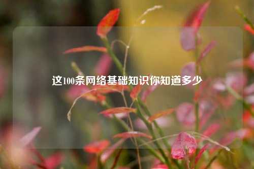 这100条网络基础知识你知道多少