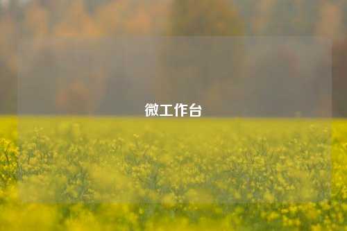 微工作台