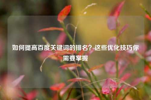 如何提高百度关键词的排名？这些优化技巧你需要掌握