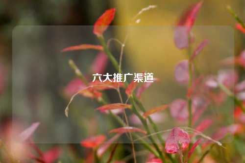 六大推广渠道
