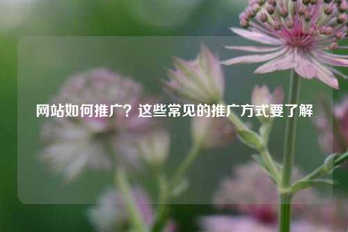 网站如何推广？这些常见的推广方式要了解