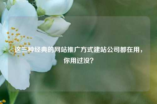 这三种经典的网站推广方式建站公司都在用，你用过没？