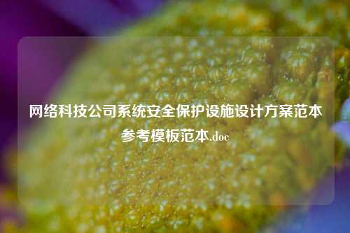 网络科技公司系统安全保护设施设计方案范本参考模板范本.doc