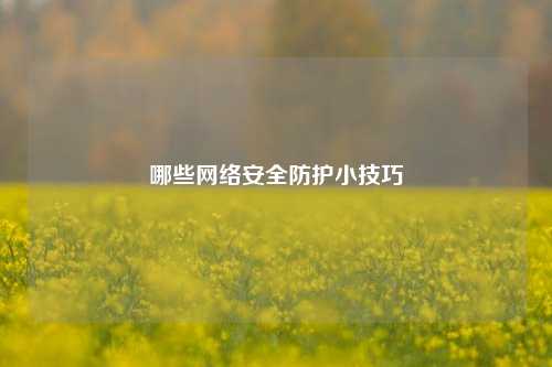 哪些网络安全防护小技巧
