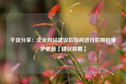 干货分享：企业网站建设后如何进行后期的维护更新【建议收藏】